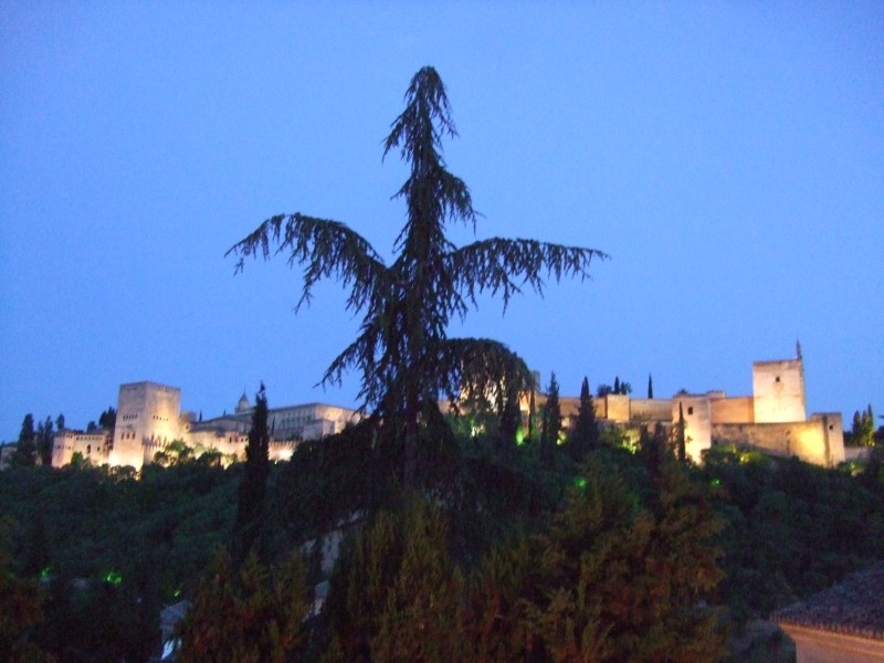 Anadalusien 2009 - 1004 